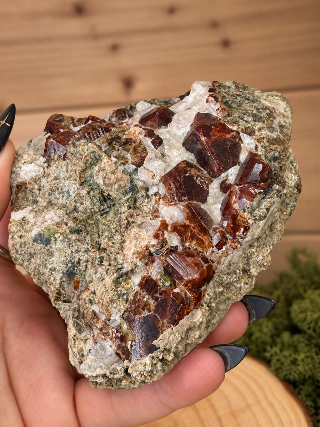 Close-up of brown Andradite Garnet crystals with Epidote and Diopside