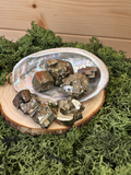 Hematite coated iridescent Pyrite crystal specimens from Borieva Mine Bulgaria