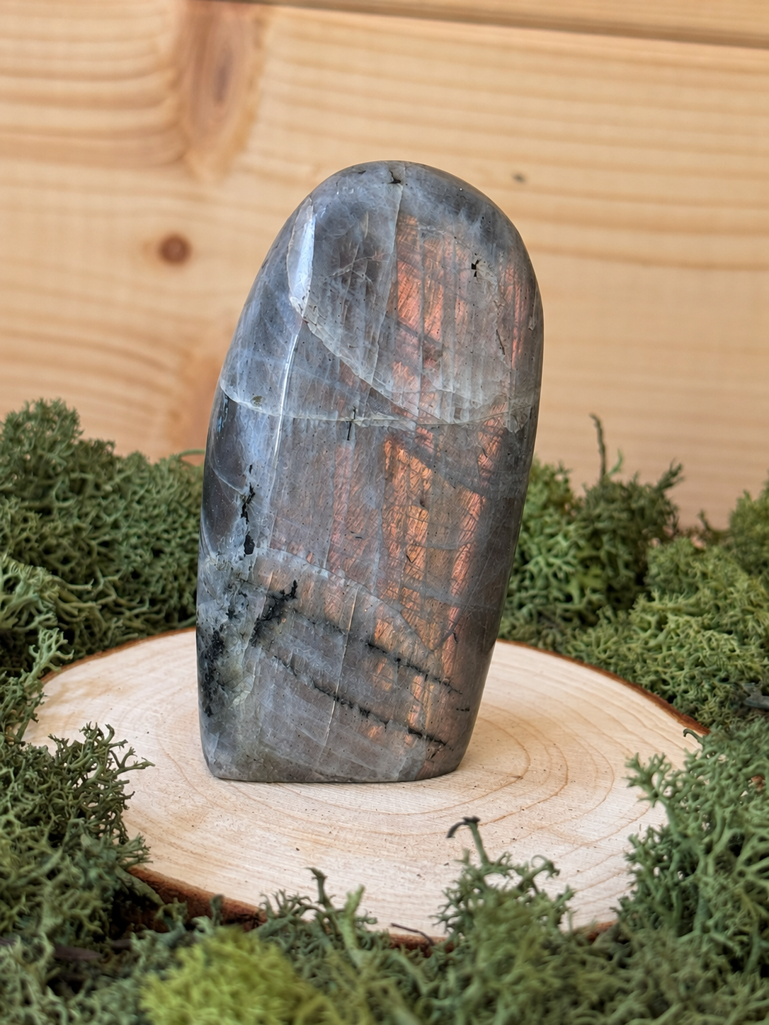 Self-standing Labradorite freeform with grey base and copper labradorescence