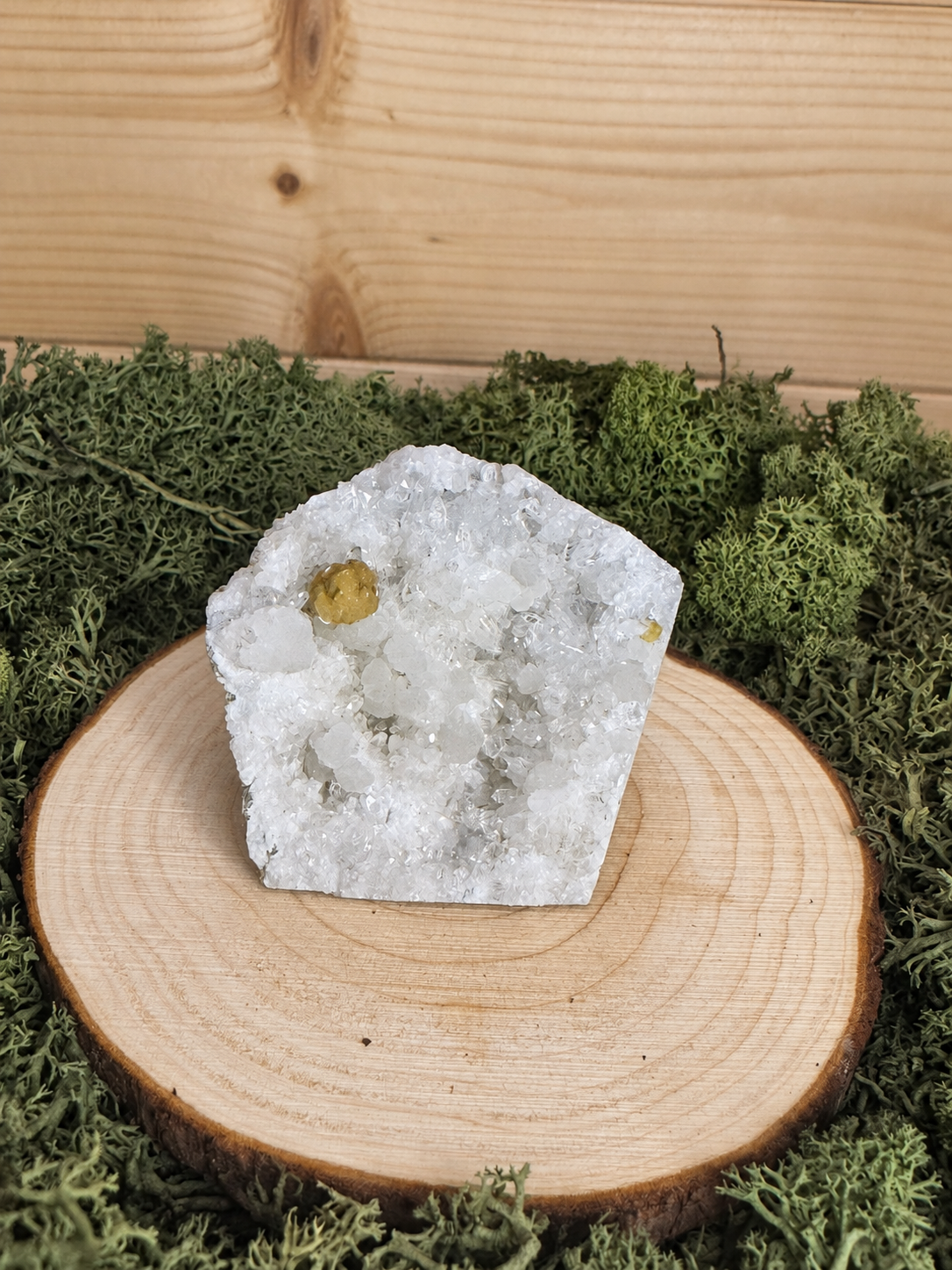 Rare mustard yellow Gyrolite on sparkling Quartz natural mineral specimen A