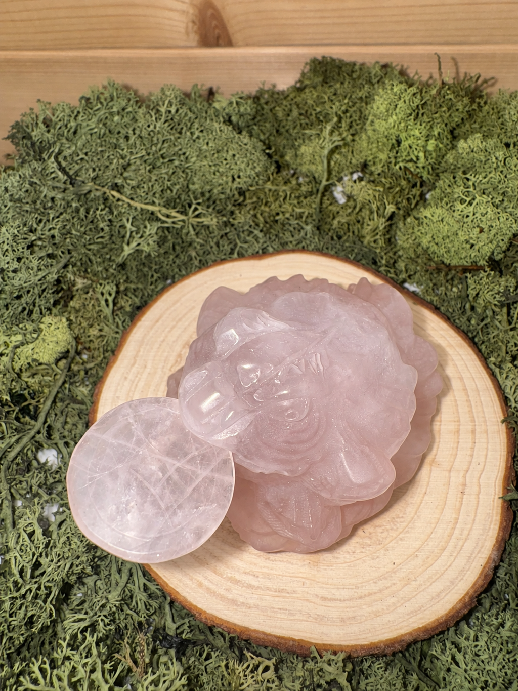 Rose Quartz Jin Chan Money Toad carving viewed from above with removable coin
