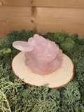 Hand-carved Rose Quartz Money Toad with removable crystal coin weighing 244g